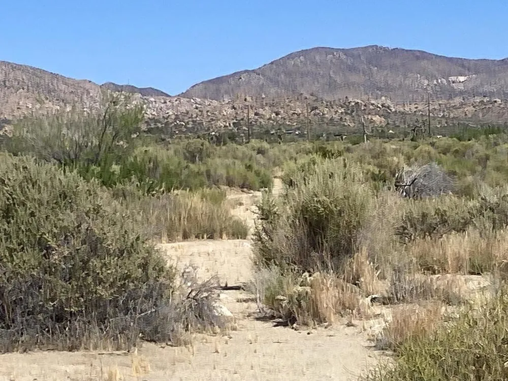 108 Riverside Drive Pioneertown, CA 92268