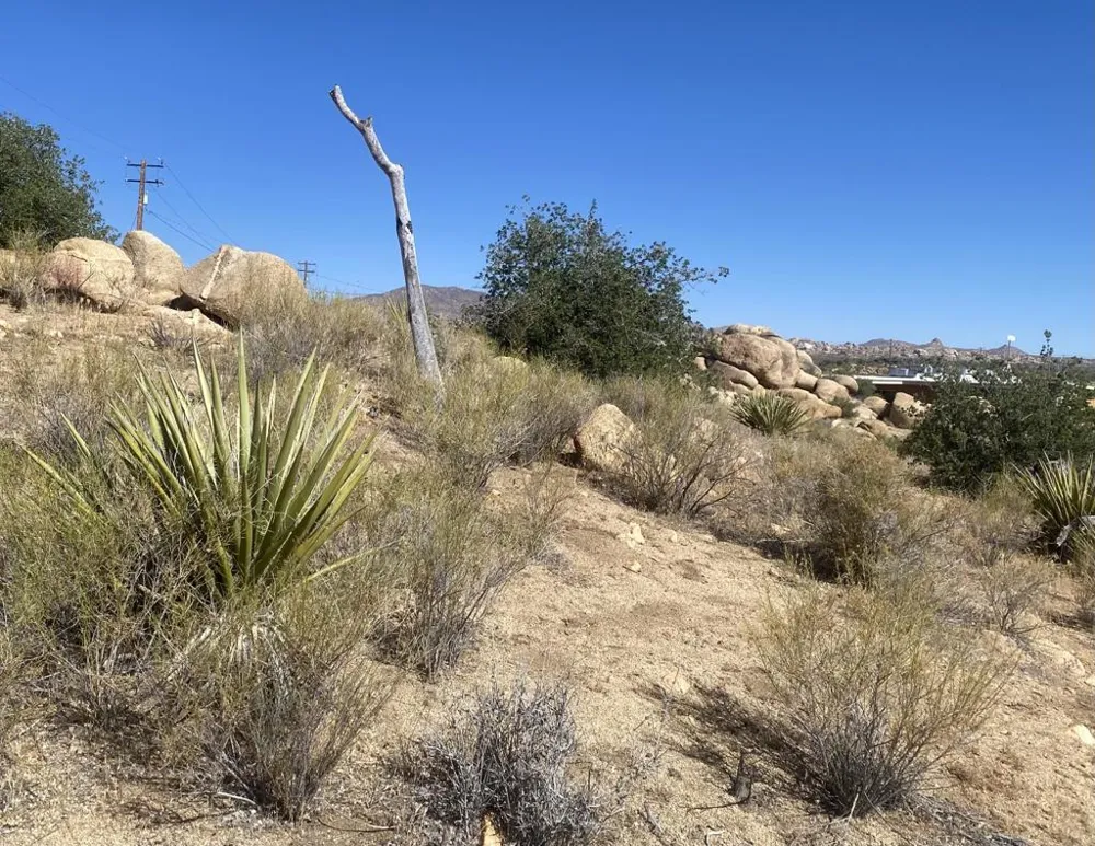 108 Riverside Drive Pioneertown, CA 92268