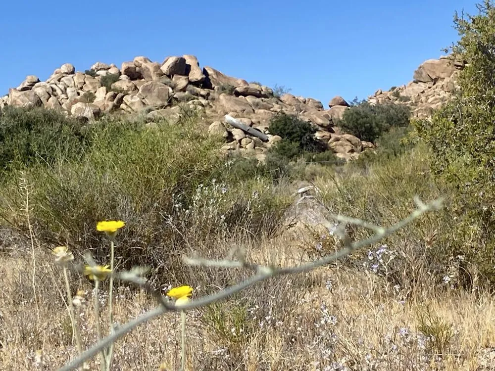 108 Riverside Drive Pioneertown, CA 92268