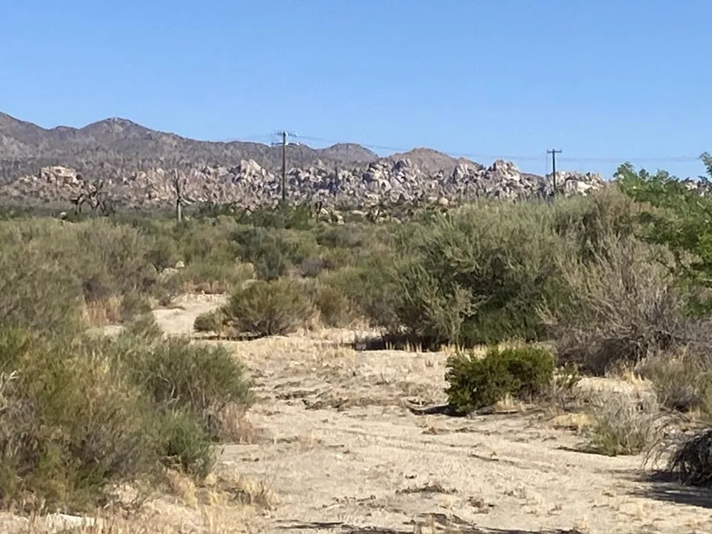 108 Riverside Drive Pioneertown, CA 92268