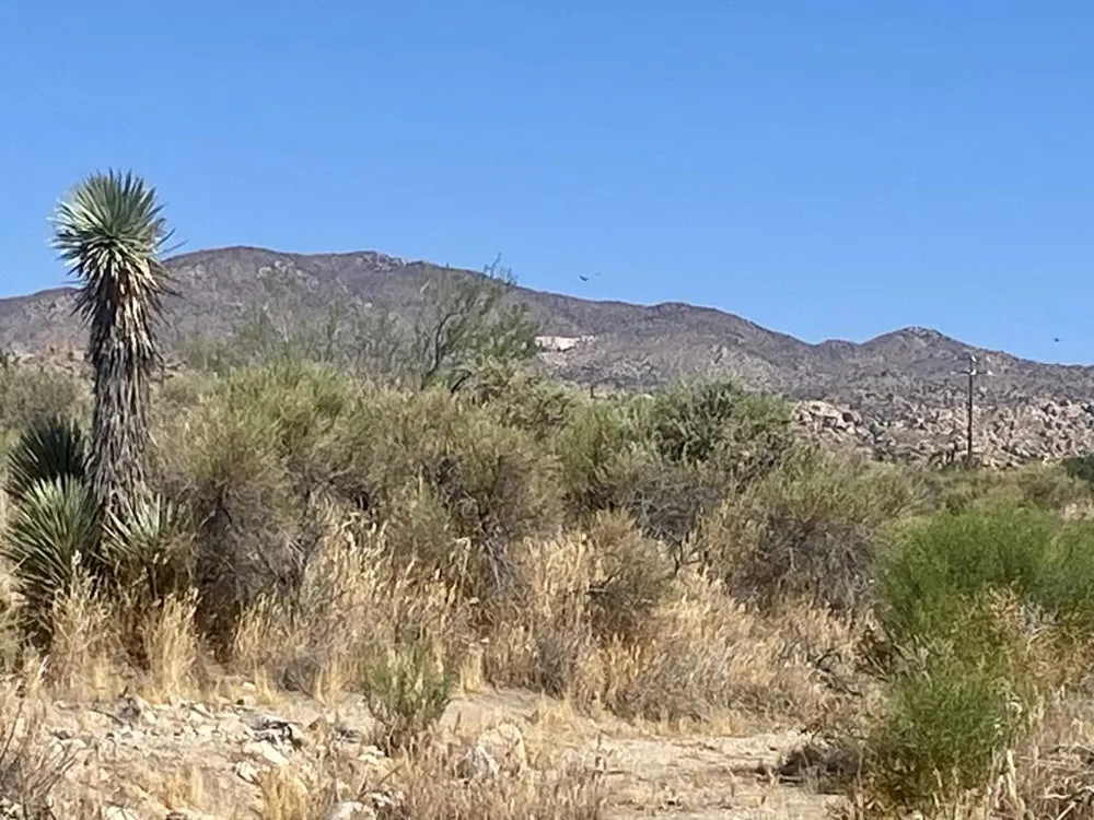 108 Riverside Drive Pioneertown, CA 92268