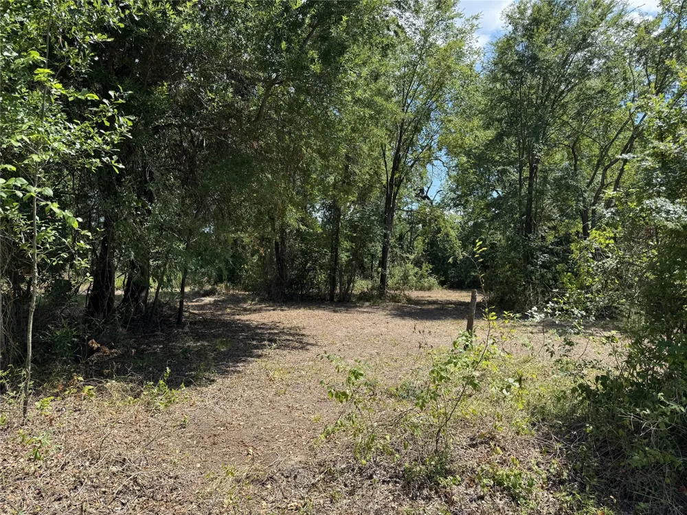 204 Kanakoa Drive Tool, TX 75143