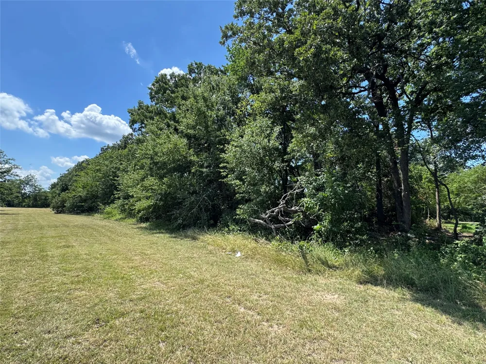 204 Kanakoa Drive Tool, TX 75143