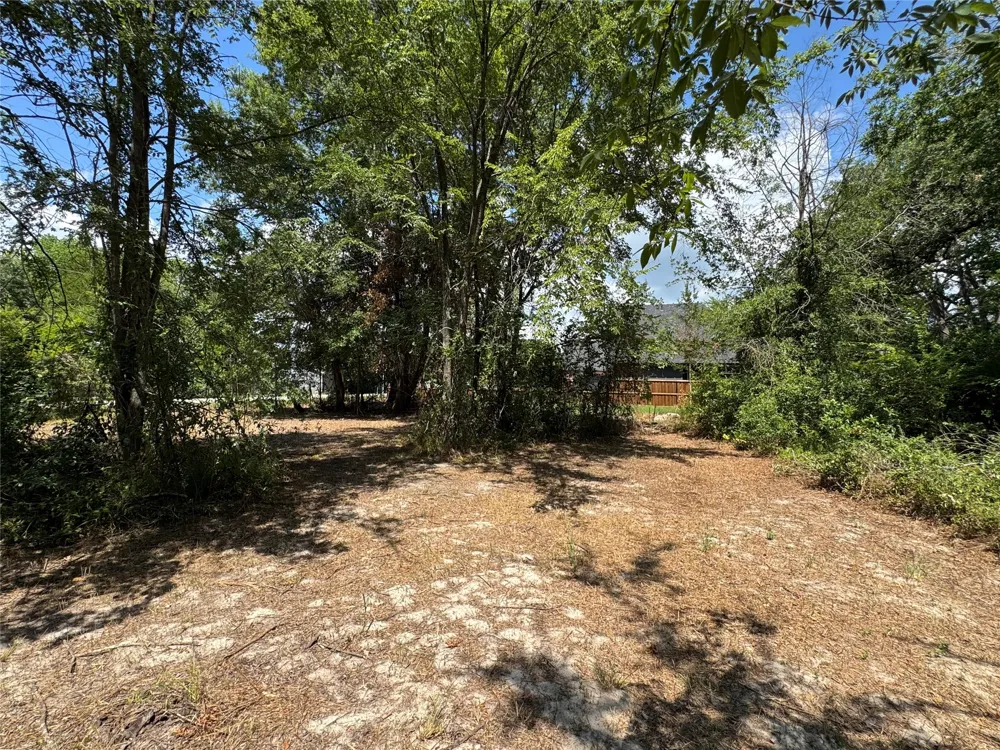 204 Kanakoa Drive Tool, TX 75143