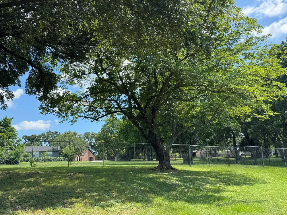 204 Kanakoa Drive Tool, TX 75143