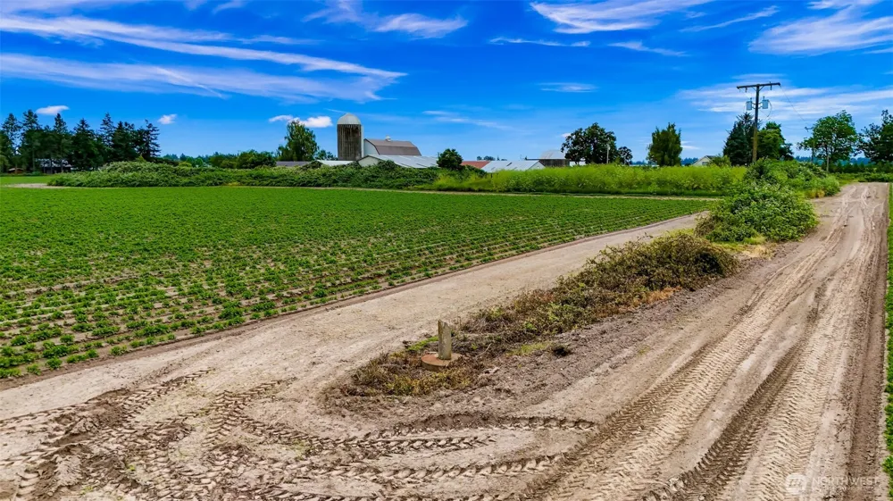 8634 Double Ditch Road Lynden, WA 98264