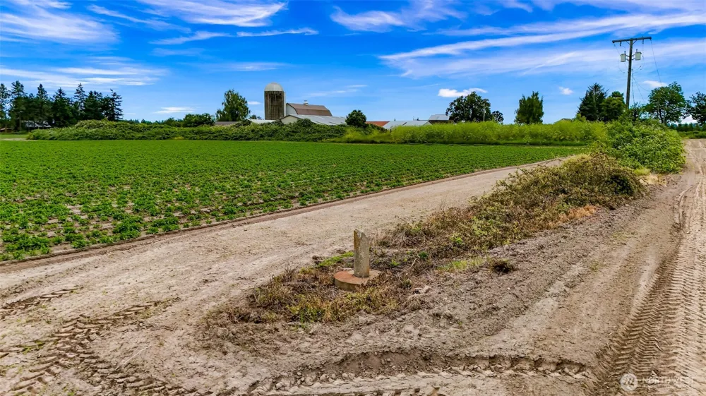 8634 Double Ditch Road Lynden, WA 98264