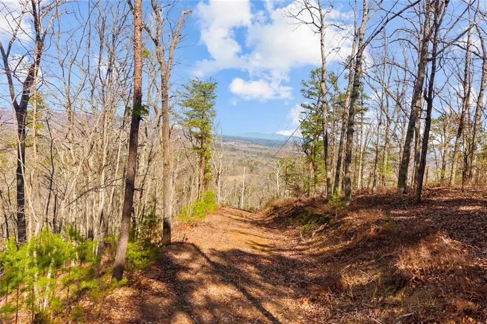 571 Deerfield Lane Sugar Valley, GA 30746