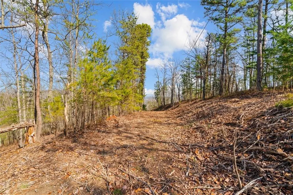 571 Deerfield Lane Sugar Valley, GA 30746