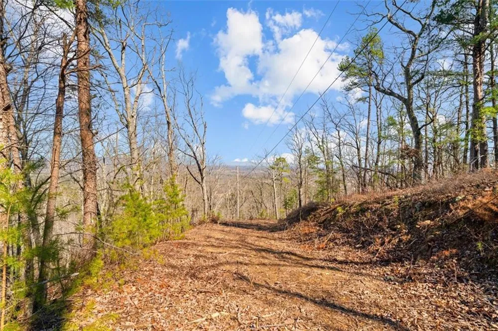 571 Deerfield Lane Sugar Valley, GA 30746