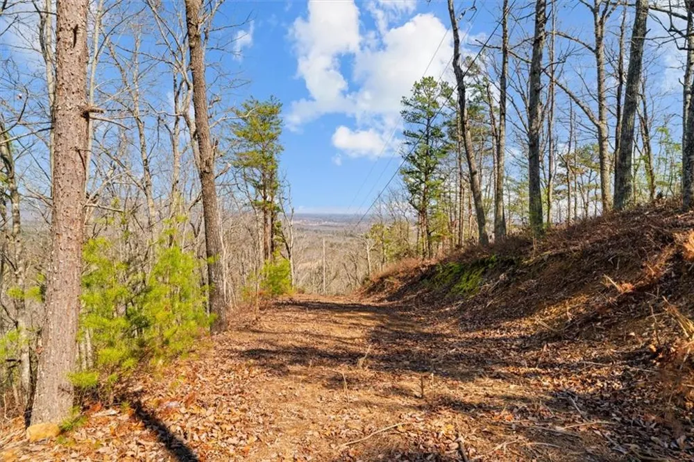 571 Deerfield Lane Sugar Valley, GA 30746