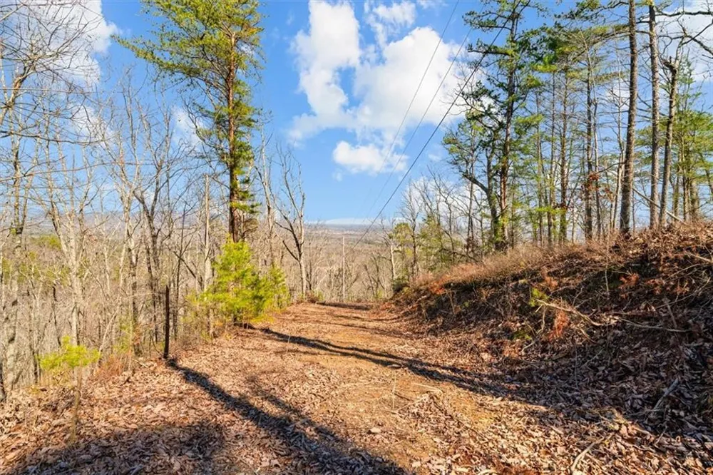 571 Deerfield Lane Sugar Valley, GA 30746