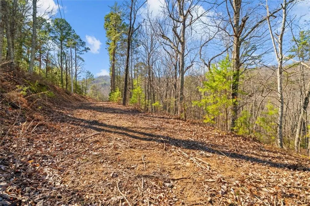 571 Deerfield Lane Sugar Valley, GA 30746