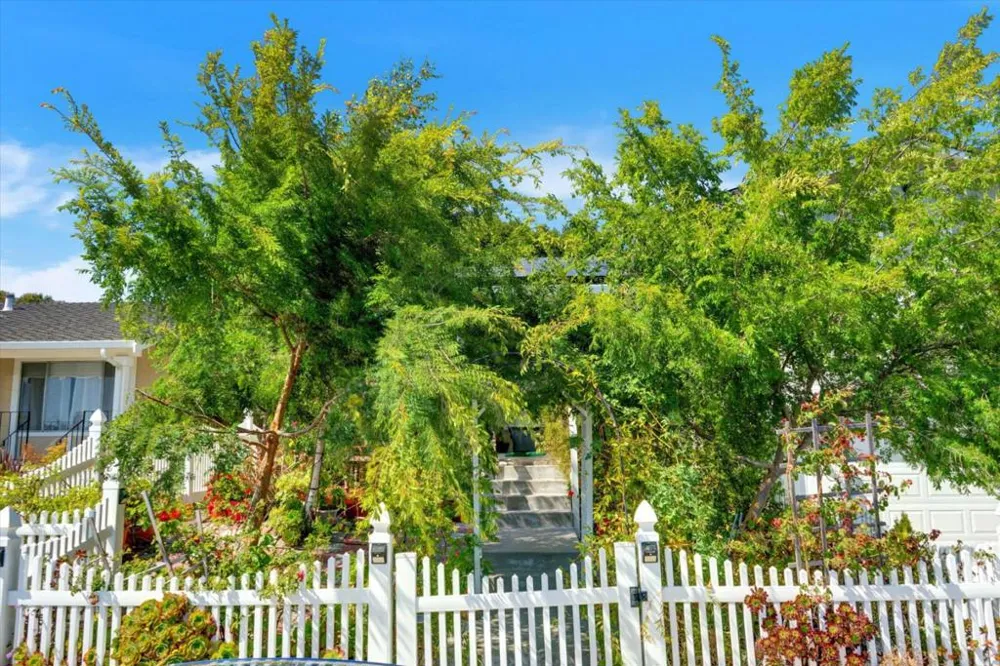 22505 Ralston Place Castro Valley, CA 94541