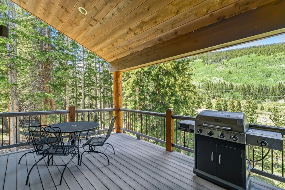 50 Cooney Court Blue River, CO 80424