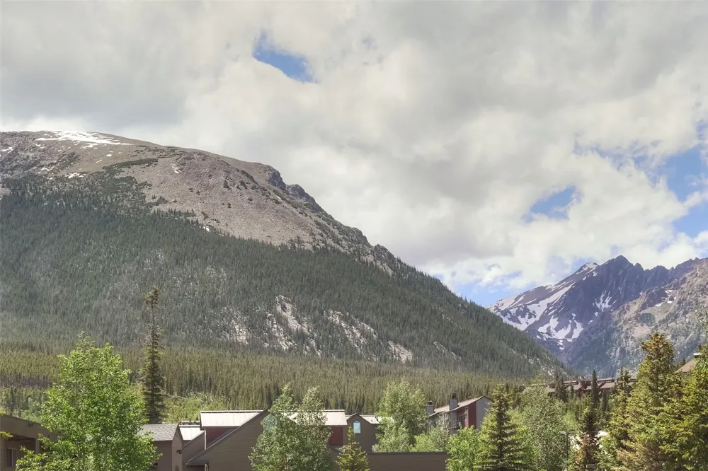 95600 Ryan Gulch Road #95613 Wildernest, CO 80498