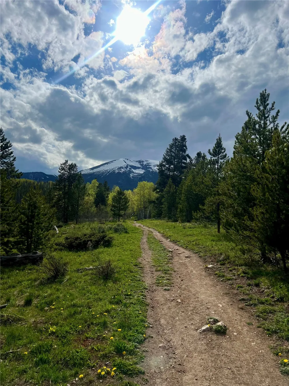 95600 Ryan Gulch Road #95613 Wildernest, CO 80498