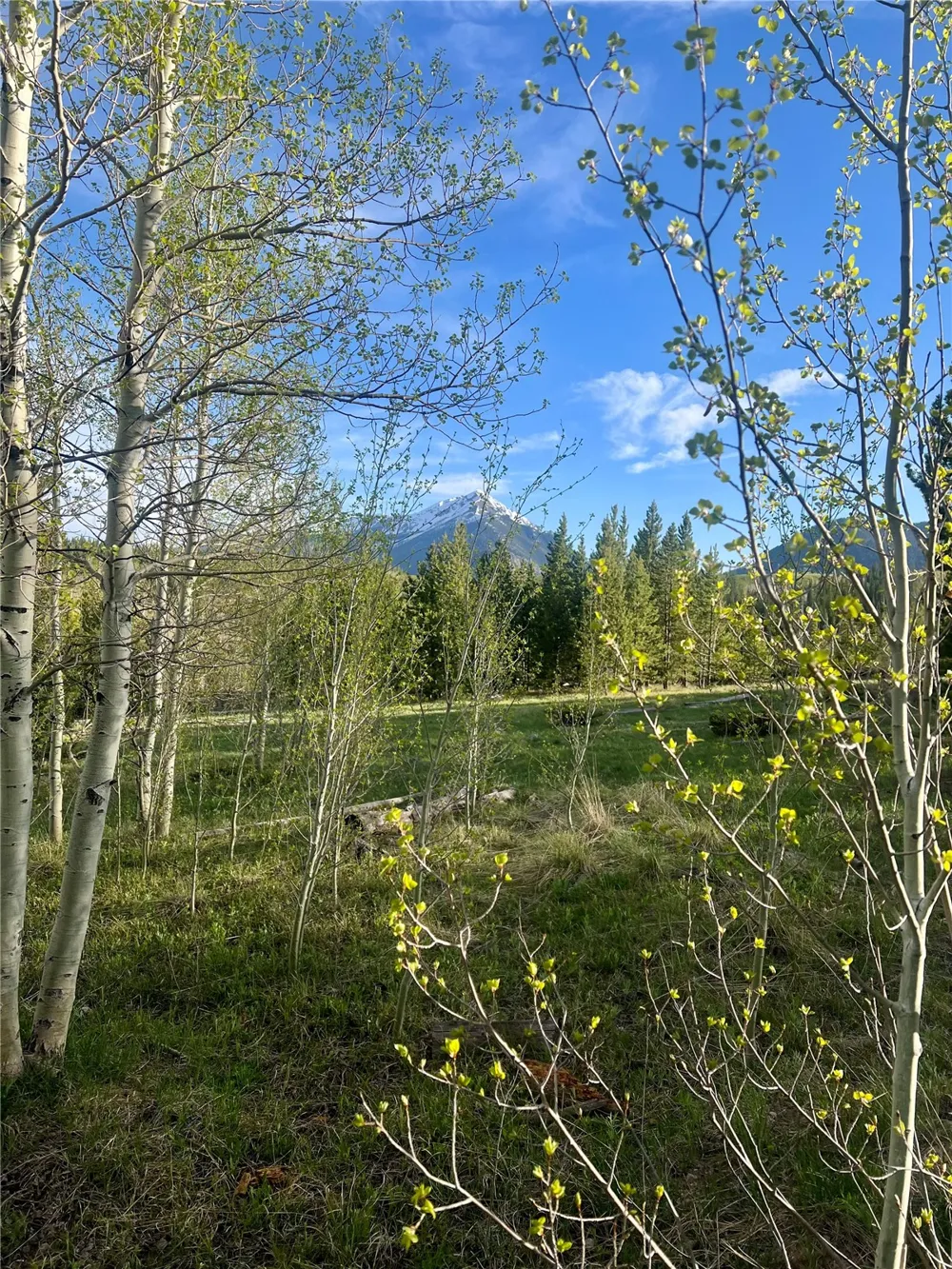 95600 Ryan Gulch Road #95613 Wildernest, CO 80498
