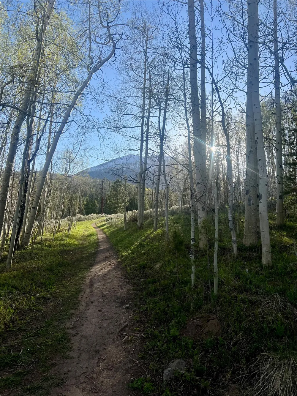 95600 Ryan Gulch Road #95613 Wildernest, CO 80498