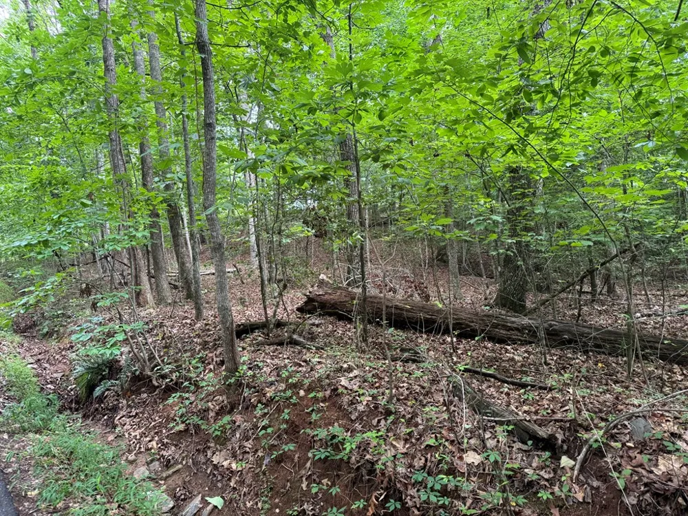 25 Mccracken Cove Road Hayesville, NC 28904