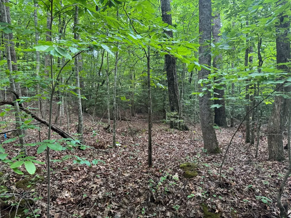 25 Mccracken Cove Road Hayesville, NC 28904