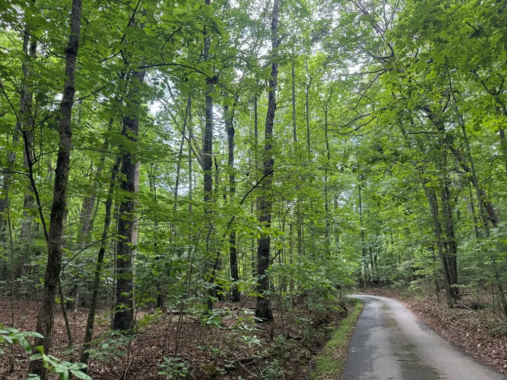 25 Mccracken Cove Road Hayesville, NC 28904