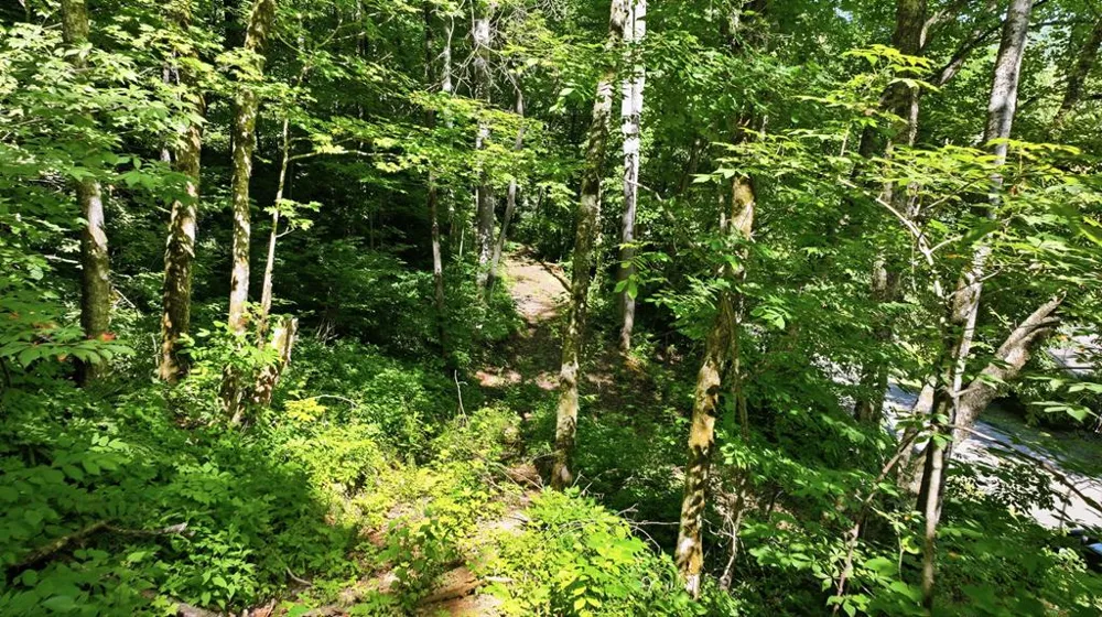 Dark Ridge Road Sylva, NC 28779