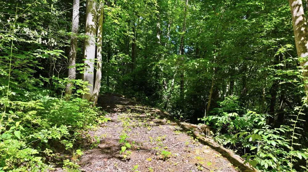 Dark Ridge Road Sylva, NC 28779