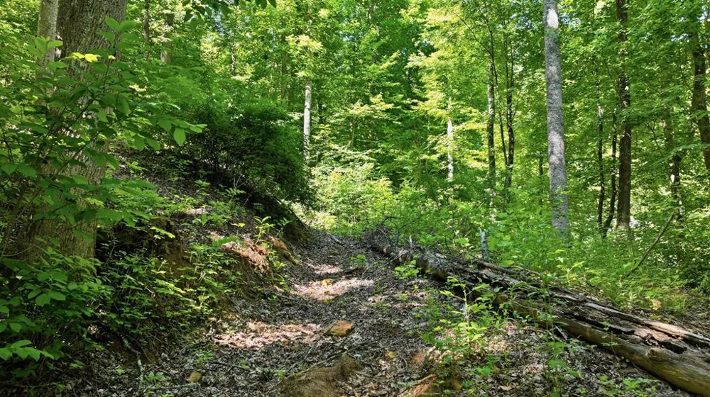 Dark Ridge Road Sylva, NC 28779