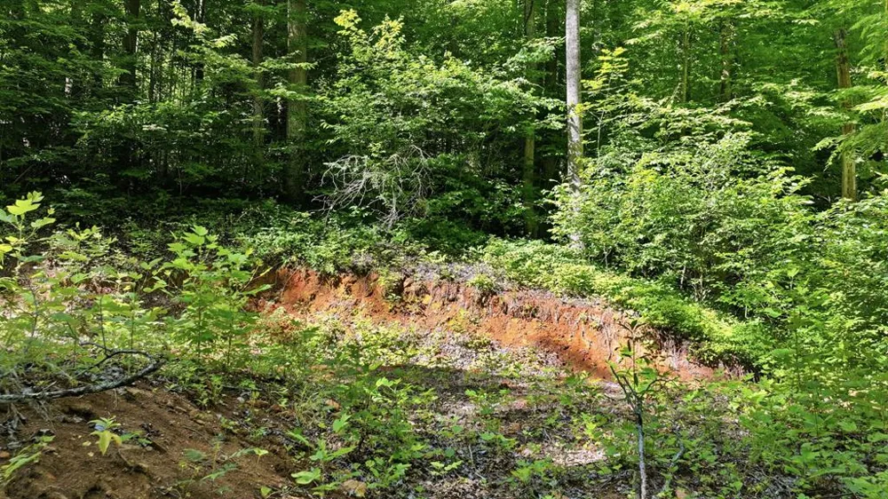 Dark Ridge Road Sylva, NC 28779