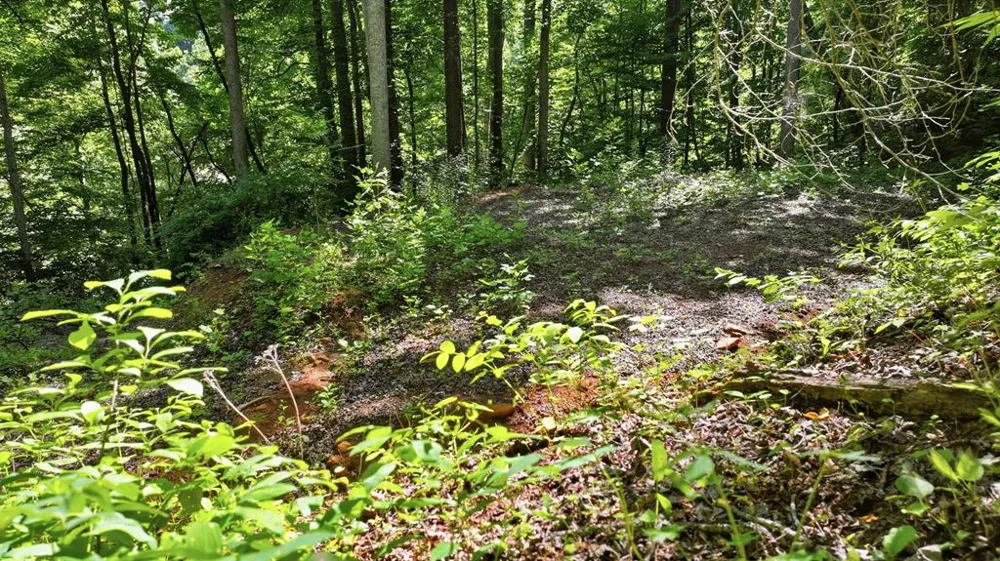 Dark Ridge Road Sylva, NC 28779