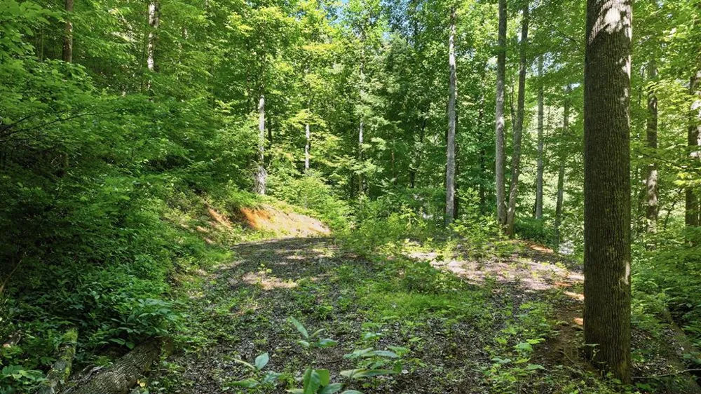 Dark Ridge Road Sylva, NC 28779
