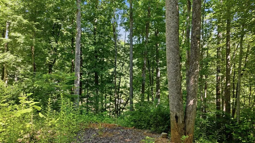 Dark Ridge Road Sylva, NC 28779
