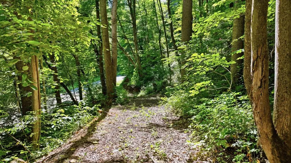 Dark Ridge Road Sylva, NC 28779