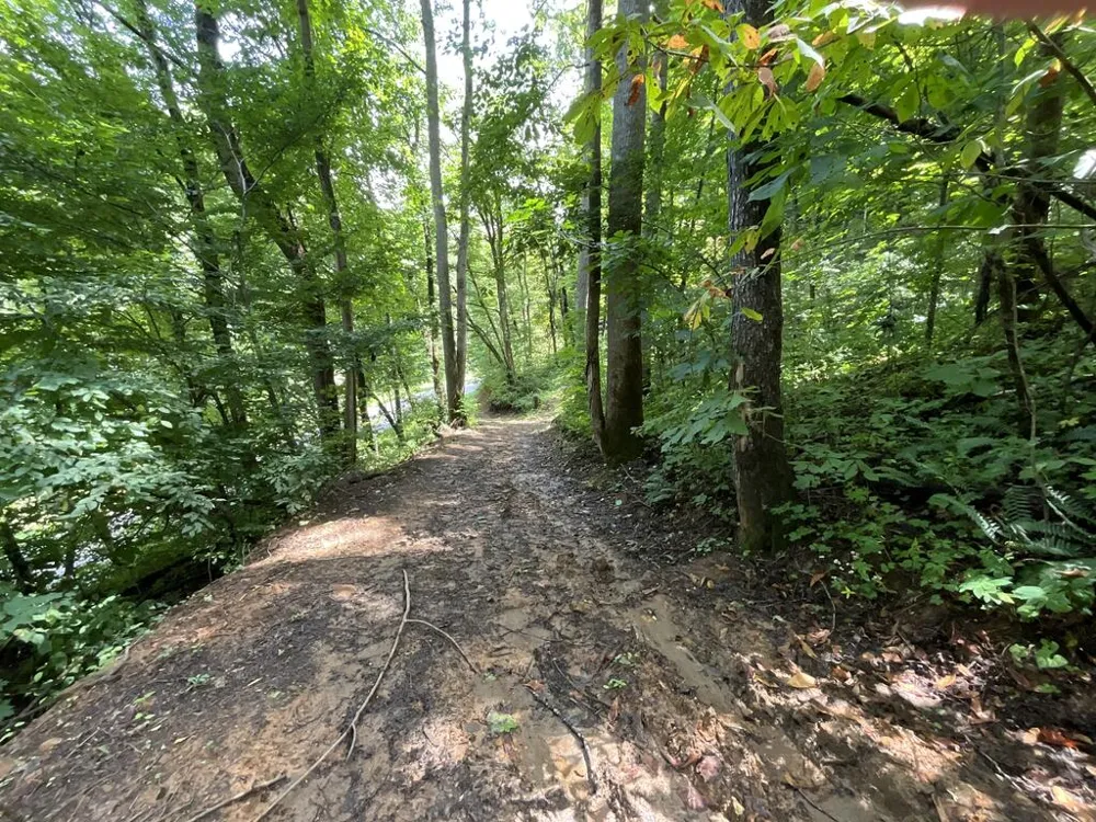 Dark Ridge Road Sylva, NC 28779