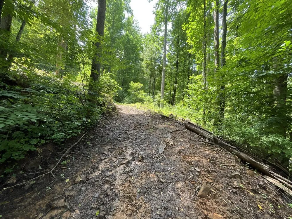 Dark Ridge Road Sylva, NC 28779