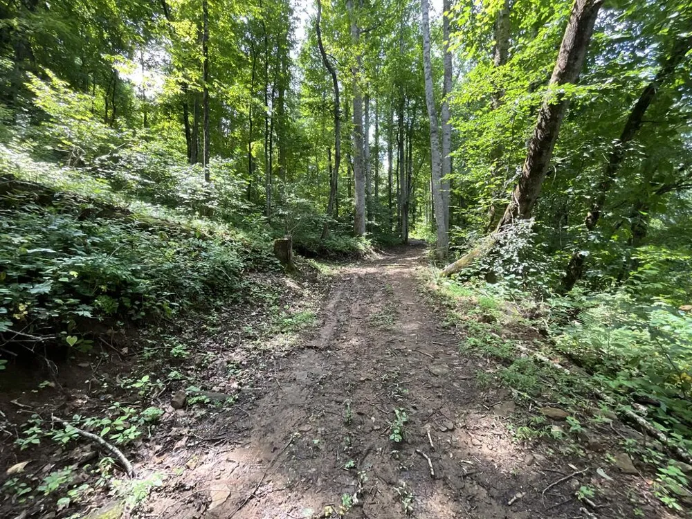 Dark Ridge Road Sylva, NC 28779