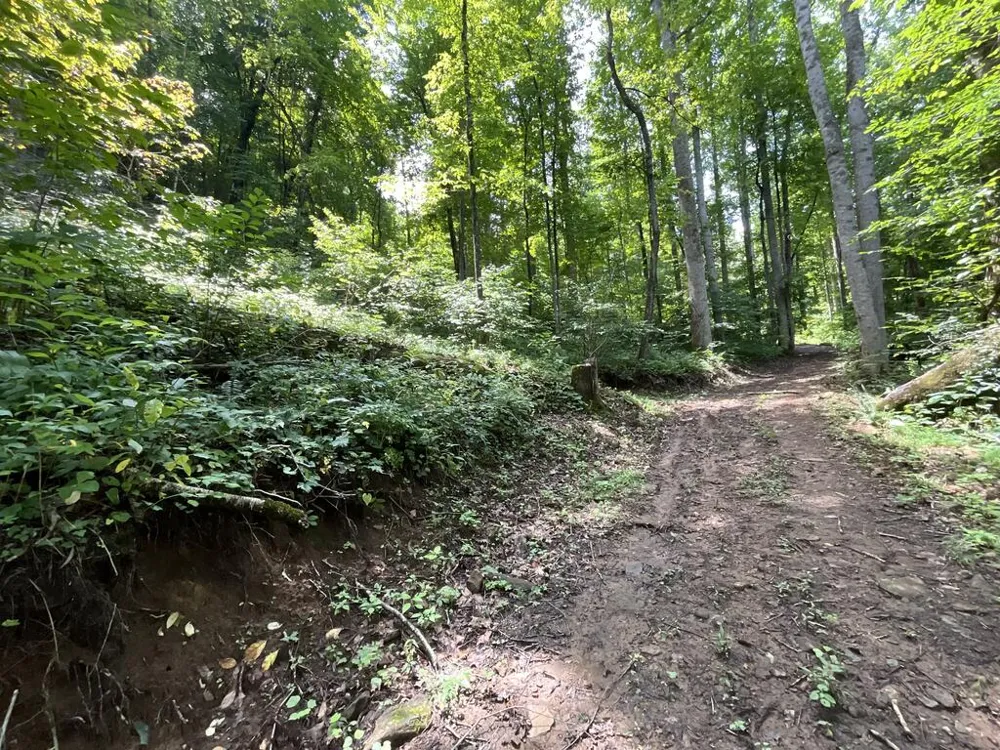 Dark Ridge Road Sylva, NC 28779