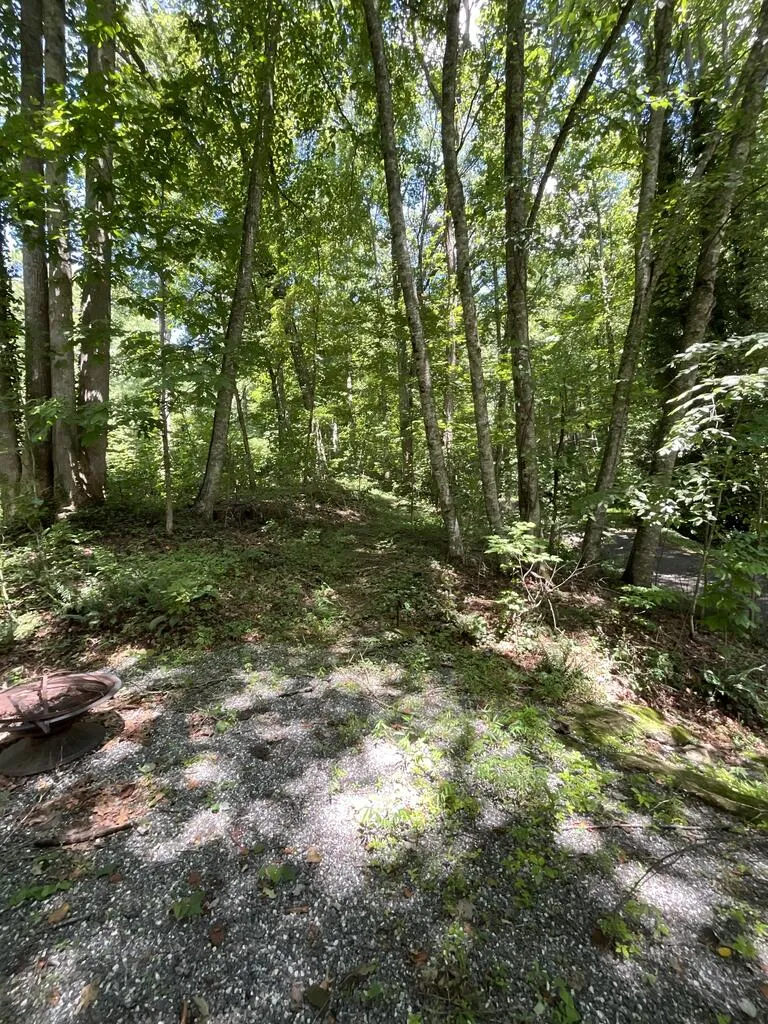 Dark Ridge Road Sylva, NC 28779