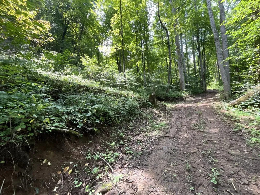 Dark Ridge Road Sylva, NC 28779