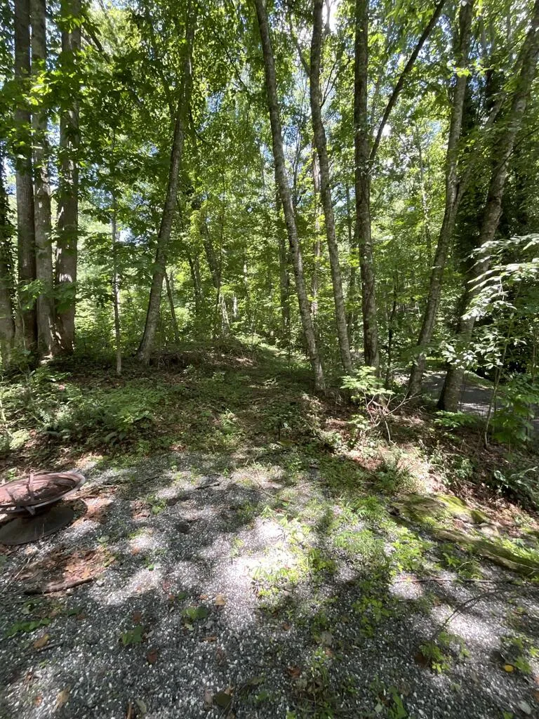 Dark Ridge Road Sylva, NC 28779