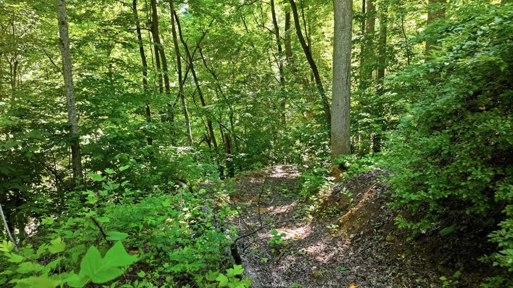 Dark Ridge Road Sylva, NC 28779
