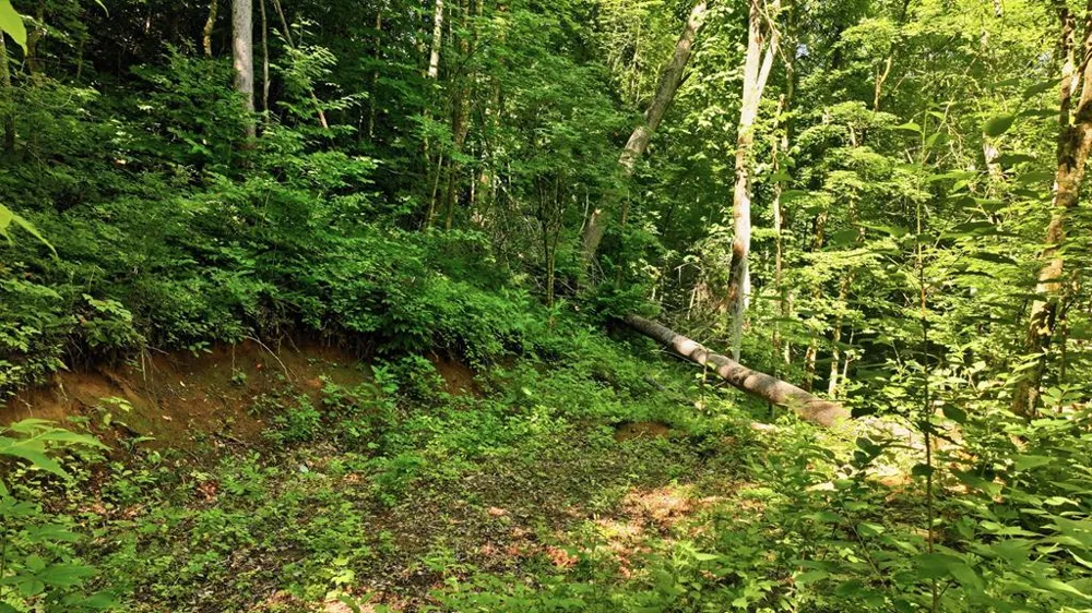 Dark Ridge Road Sylva, NC 28779