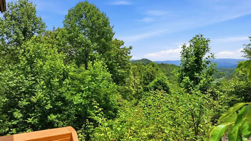 Highway 19 West Bryson City, NC 28713