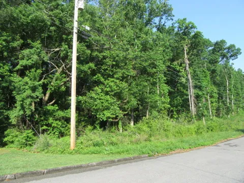 Hickory Ridge Trail