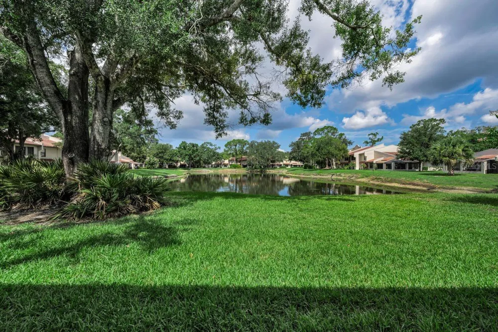 3505 TARPON WOODS BOULEVARD #O-403 Palm Harbor, FL 34685