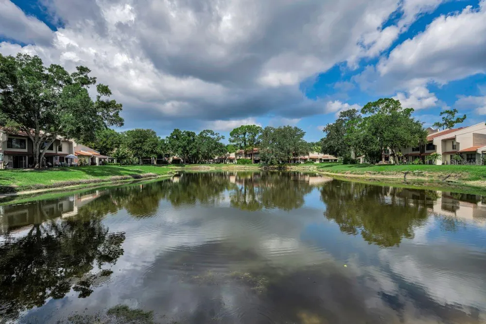 3505 TARPON WOODS BOULEVARD #O-403 Palm Harbor, FL 34685