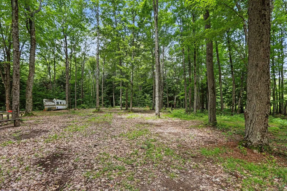 Third Road Coldsprings Township, MI 49646