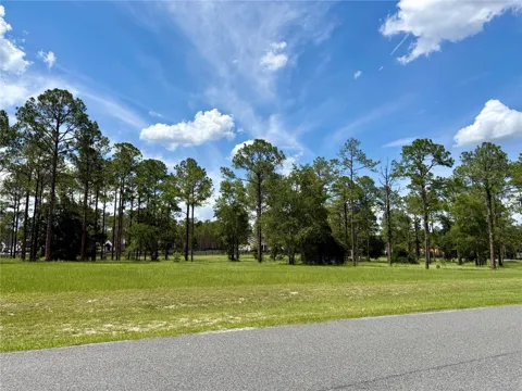 35135 PINEGATE TRAIL