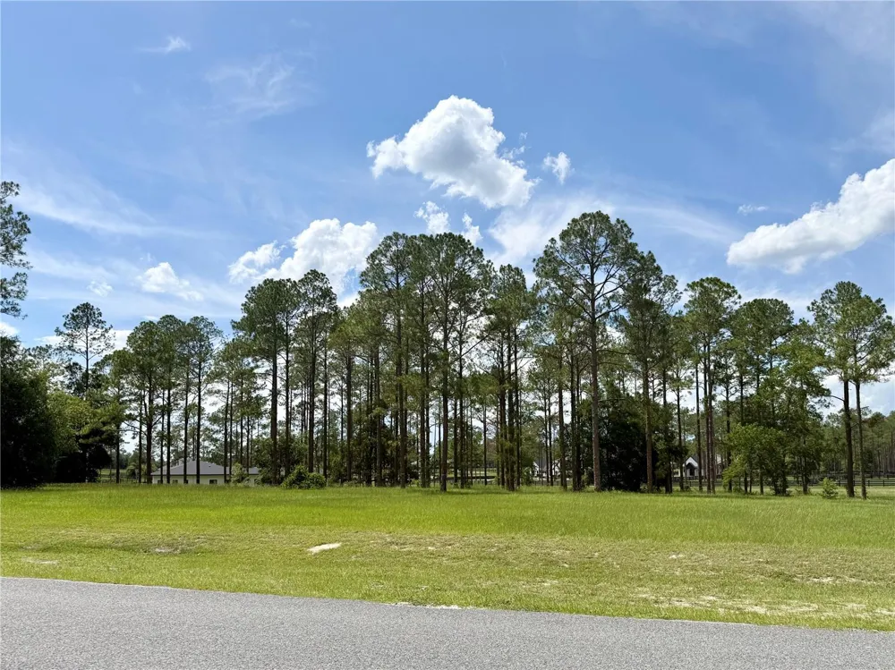 35135 PINEGATE TRAIL Eustis, FL 32736